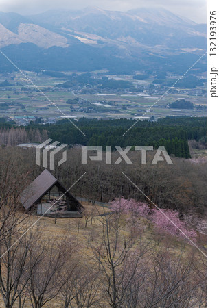 うららかな春に阿蘇山を背景に映える桜の花と田園風景　世界最大級の屋外ステージ　アスペクタ(南阿蘇村) 132193976