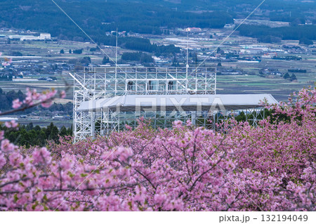 うららかな春に阿蘇山を背景に映える世界最大級の屋外ステージ　アスペクタ(南阿蘇村) 132194049