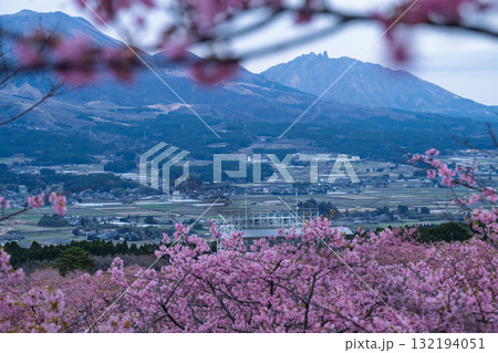 うららかな春に阿蘇山を背景に映える世界最大級の屋外ステージ　アスペクタ(南阿蘇村) 132194051