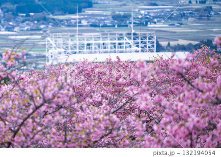 うららかな春に阿蘇山を背景に映える世界最大級の屋外ステージ　アスペクタ(南阿蘇村) 132194054