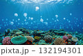 美しい南国の珊瑚庭園と輝くファンタジー熱帯魚 132194301