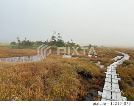 苗場山の湿原と木道、紅葉に映える池塘 132194879