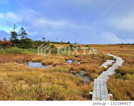 苗場山の湿原と木道、紅葉に映える池塘 苗場山の湿原と木道、紅葉に映える池塘 132194917