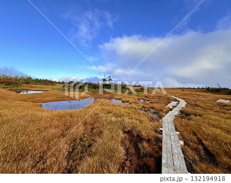 苗場山の湿原と木道、紅葉に映える池塘 苗場山の湿原と木道、紅葉に映える池塘 132194918