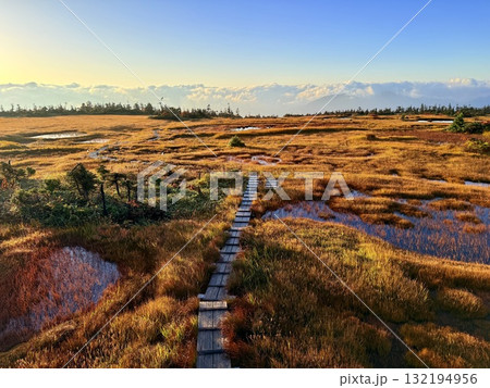 苗場山の湿原と木道、紅葉に映える池塘 苗場山の湿原と木道、紅葉に映える池塘 132194956
