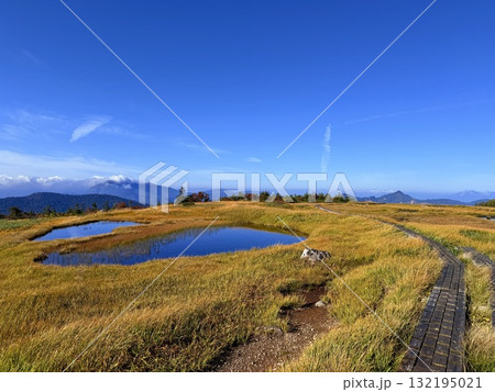 苗場山の湿原と木道、紅葉に映える池塘 132195021