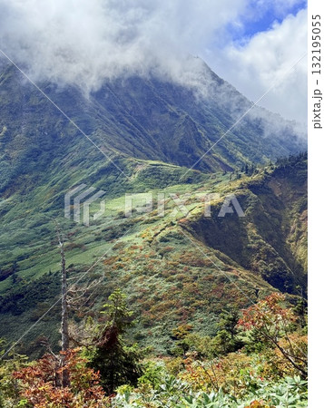 苗場山の湿原と木道、紅葉に映える池塘 苗場山の湿原と木道、紅葉に映える池塘 132195055