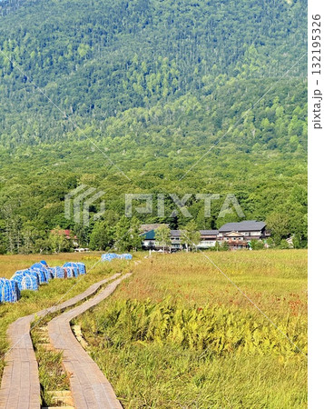 群馬・尾瀬沼と尾瀬ヶ原の間にある見晴の山小屋とキャンプ場 132195326