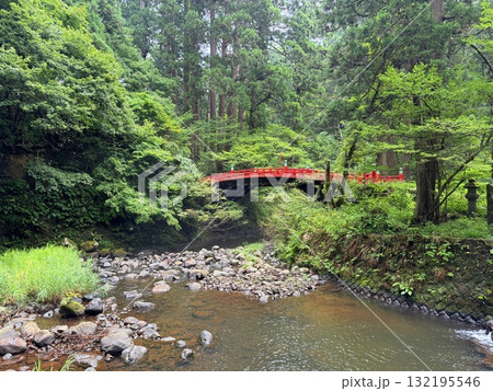 杉並木に囲まれた羽黒山の石段 杉並木に囲まれた羽黒山の石段 132195546