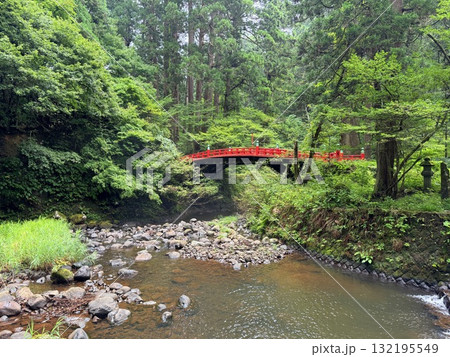 杉並木に囲まれた羽黒山の石段 132195549