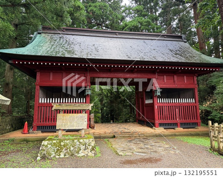 杉並木に囲まれた羽黒山の石段 132195551