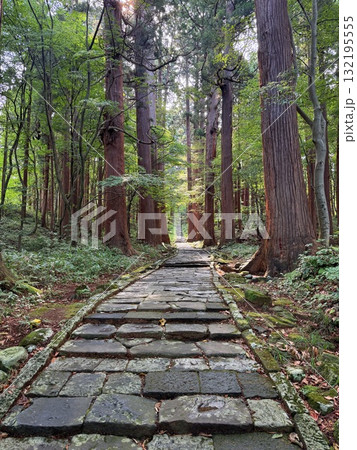 杉並木に囲まれた羽黒山の石段 132195555