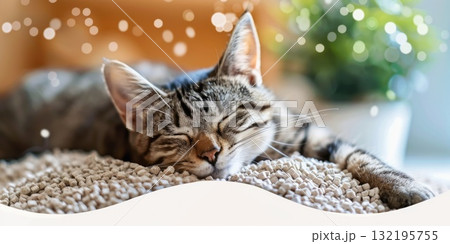 cat litter with lavender scaent 132195755