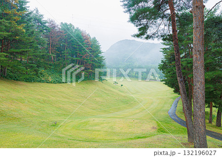 グリーンのあるゴルフ場のグリーン 132196027