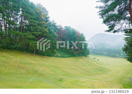 グリーンのあるゴルフ場のグリーン 132196029