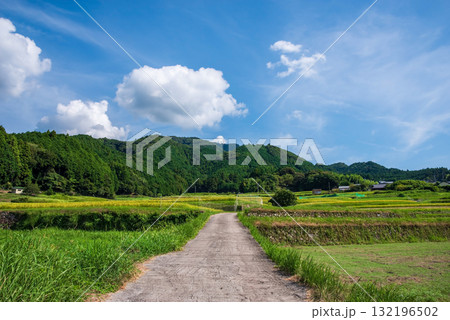 里山の夏景色 132196502