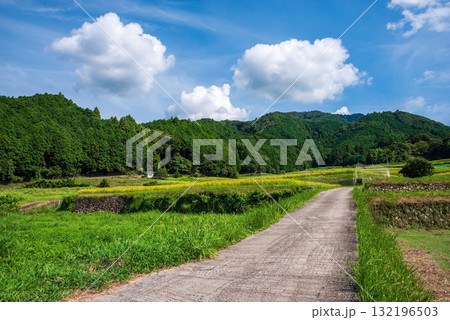 里山の夏景色 132196503