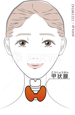 甲状腺女性 132196542