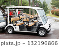 公園に停めたゴルフカート 132196866