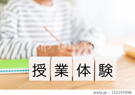 授業体験のブロックと勉強をする小学生の男の子 132197096