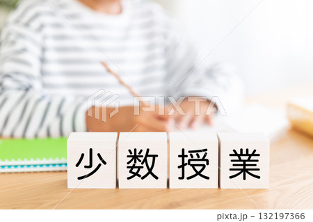 少数授業のブロックと勉強をする小学生の男の子 少数授業のブロックと勉強をする小学生の男の子 132197366