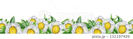 White camellia flowers with leaves seamless border decor element. Hand drawn vintage style botanical watercolor illustration. Tender white camellia blossoms seamless border on white background 132197489