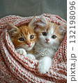 adorable kitten laying on a bed with a pink croched blanket 132198096