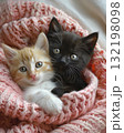 adorable kitten laying on a bed with a pink croched blanket 132198098