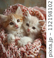 adorable kitten laying on a bed with a pink croched blanket 132198102