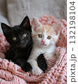 adorable kitten laying on a bed with a pink croched blanket 132198104