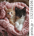adorable kitten laying on a bed with a pink croched blanket 132198106