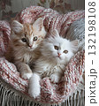 adorable kitten laying on a bed with a pink croched blanket 132198108