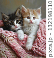 adorable kitten laying on a bed with a pink croched blanket 132198110