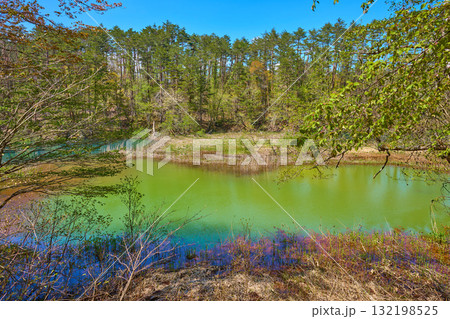 新緑の福島県 裏磐梯高原のみどろ沼(五色沼)を見る 132198525