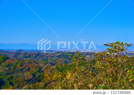 秋の鎌倉市の建長寺 勝上嶽展望台から西側の紅葉の眺望(富士山,藤沢市,相模湾など) 秋の鎌倉市の建長寺 勝上嶽展望台から西側の紅葉の眺望(富士山,藤沢市,相模湾など) 132198866
