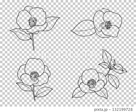 椿の線画イラストセット 132199728