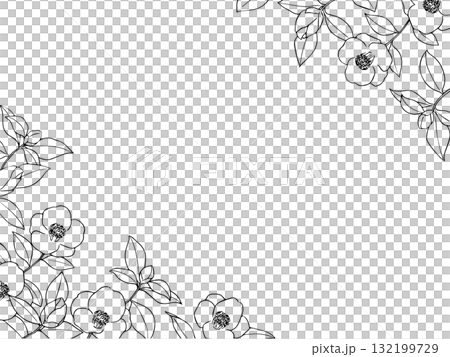 茶花線描框 茶花線描框 132199729