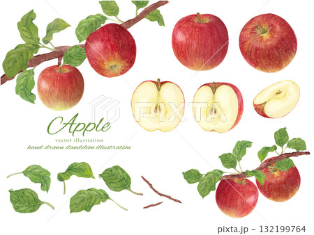 水彩で描いたりんごのベクターイラストセット 132199764