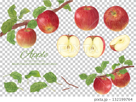 水彩で描いたりんごのベクターイラストセット 132199764