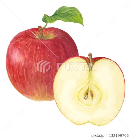 水彩で描いたカットされたりんごのイラスト 132199766