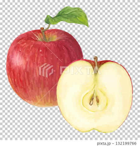水彩で描いたカットされたりんごのイラスト 132199766