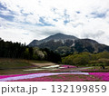 秩父の山と芝桜 132199859
