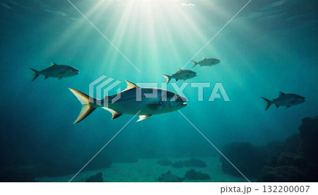 太陽の光を浴びて輝く魚 132200007