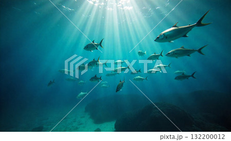 太陽の光を浴びて泳ぐ魚群 132200012
