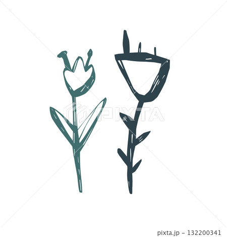 Minimal floral illustration with two hand drawn wildflowers in Scandinavian style simple botanical vector art Minimal floral illustration with two hand drawn wildflowers in Scandinavian style simple botanical vector art 132200341