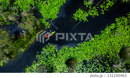 Aerial top view jungle wetlands wilderness, Wetlands crucial for biodiversity, Swamp landscape ecological reserve in wildlife, Greenery rural area with swamp. 132200463
