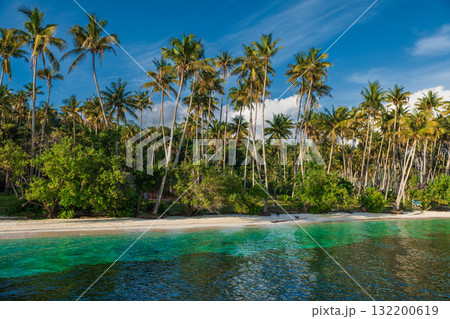 Paradise beach with palm trees and sunrise sunshine on tropical island. Travel vacation destination in Raja Ampat. 132200619