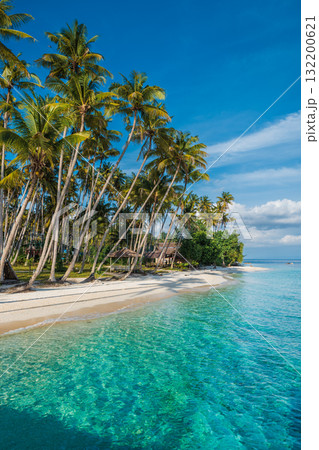 Paradise beach with palm trees and quiet blue sea on tropical island. Travel luxury vacation banner. Paradise beach with palm trees and quiet blue sea on tropical island. Travel luxury vacation banner. 132200621