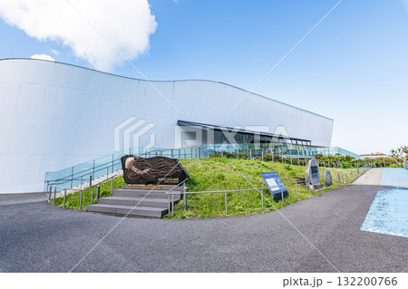 山形県鶴岡市　鶴岡市立加茂水族館（クラゲドリーム館） 132200766