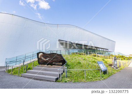 山形県鶴岡市　鶴岡市立加茂水族館（クラゲドリーム館） 132200775